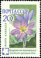 Soviet Union stamp 1960 CPA 2495.jpg