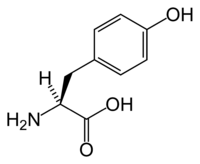 Тирозин: химическая формула