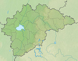 Горченка (приток Чернорученки) (Новгородская область)