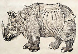 Rhinoceros woodcut.jpg