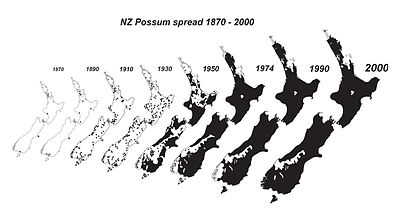 NZ possum spread 1870 - 1990.jpg