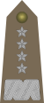Rank insignia of generał of the Army of Poland.svg