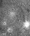 Crater Epigeus on Ganimed.jpg