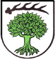 Wappen Ilsfeld.png