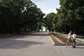 Shevchenko park (Kharkiv).jpg
