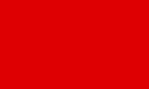 Флаг УСР