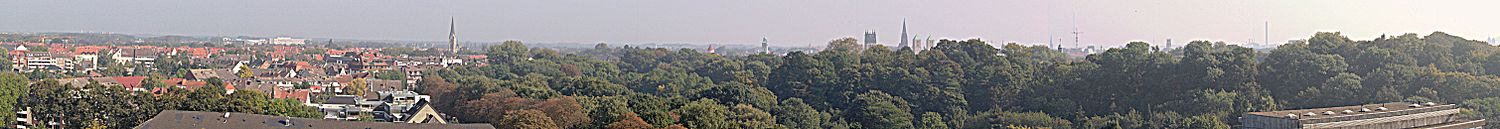 Панорама: слева — жилой квартал, в центре за деревьями видны башни церквей исторического центра города.