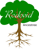 Tree rodovid.png