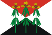 Flag of Kimovsky rayon (Tula oblast).png