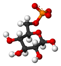 Глюкозо-6-фосфат: вид молекулы