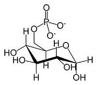 Глюкозо-6-фосфат: химическая формула