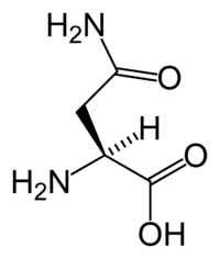 Аспарагин: химическая формула
