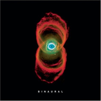 Обложка альбома «Binaural» (Pearl Jam, 2000)