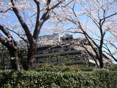 Главное здание Токийского отделения
