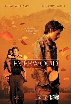 Everwood.jpg