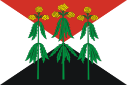 Flag of Kimovsky rayon (Tula oblast).png