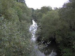 Река Ина в Голенёве