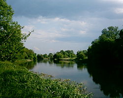 Река Рось в среднем течении