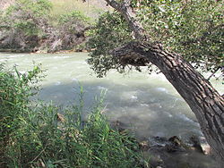 Река Чарын вблизи Чарынского каньона.