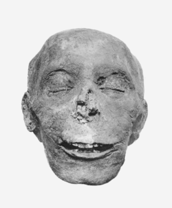 Thutmosis III mummy head.png