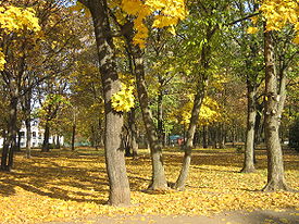 Autumn in Kharkiv. Ukrainu.jpg