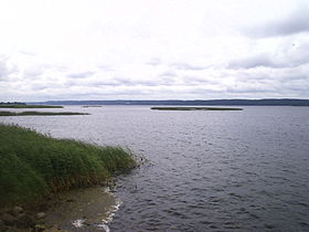 Жарновецкое озеро, вид с северного берега