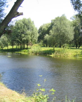 Нижнее течение реки Волчья в городе Волчанске