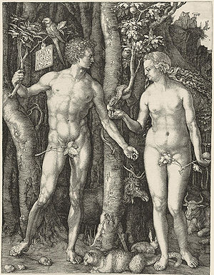 Adam Eva, Durer, 1504.jpg
