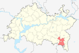 Бугульминский район на карте