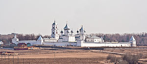 Вид на монастырь с колокольни села Городище
