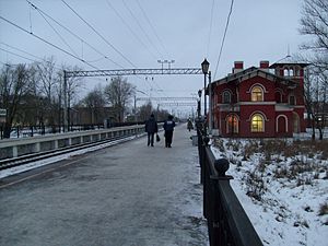 Strelna station.JPG