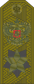 RFGF - Marshal of the Russian Federation - Field.png