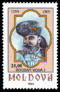 Stamp of Moldova 244.gif