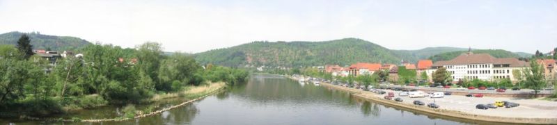 Eberbach-Panorama.jpg