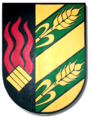 Wappen Dieblich-Berg.png